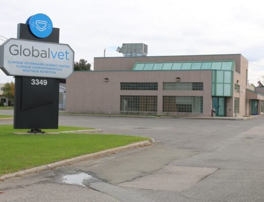 Clinique vétérinaire Québec-Centre