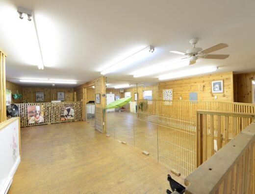 Auberge des 4 Pattes